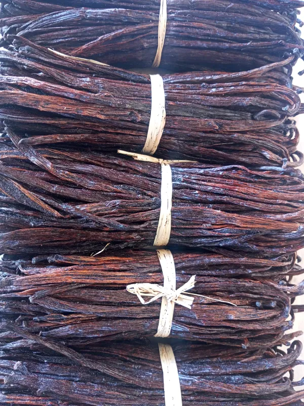 Red Vanilla From Madagascar