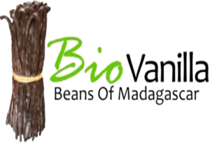 logo sans fond