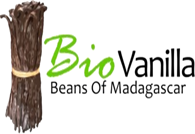 logo sans fond