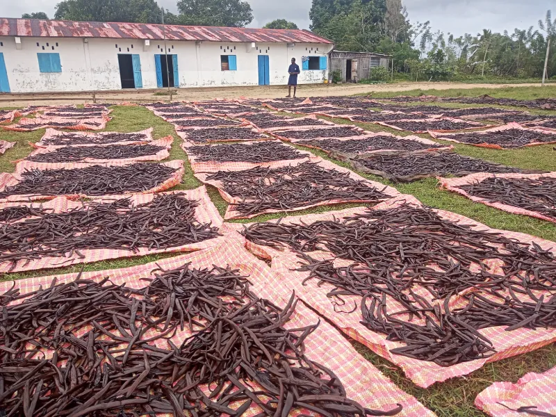 vanilla gourmet bio vanilla