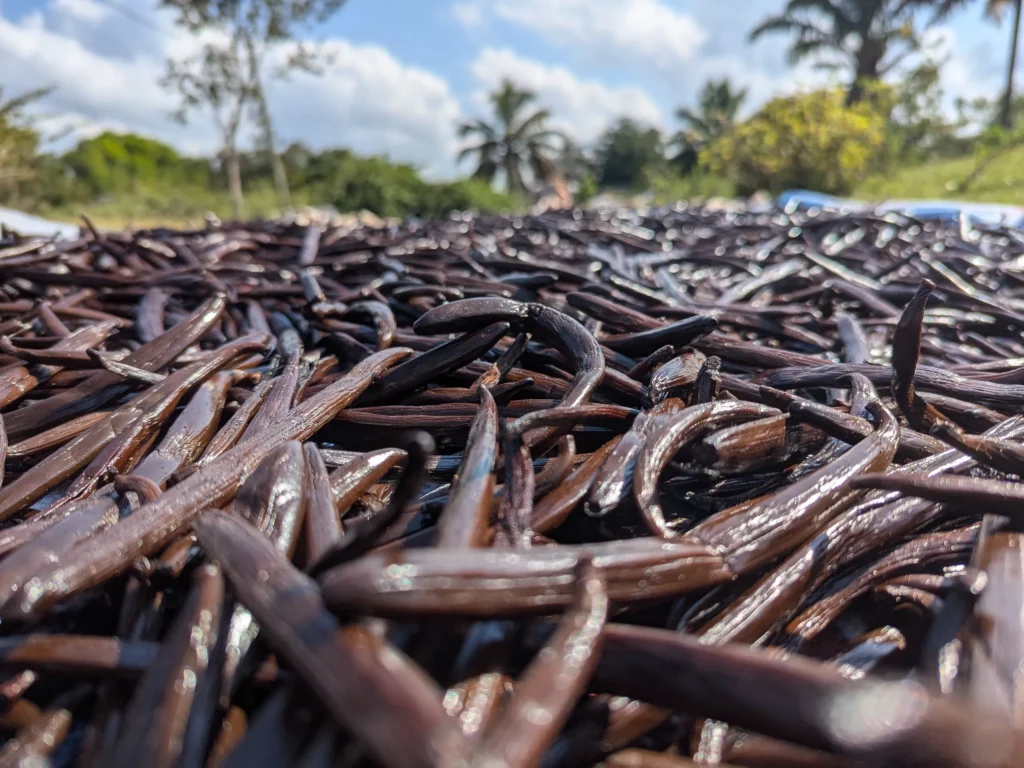 vanilla preparation