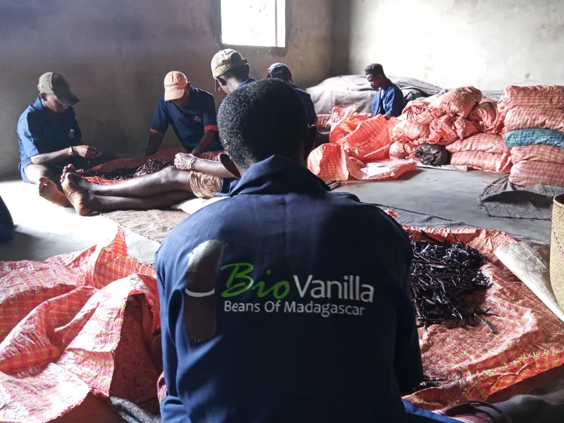 vanilla company