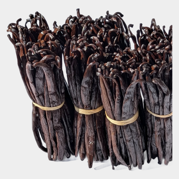 vanilla beans gourmet