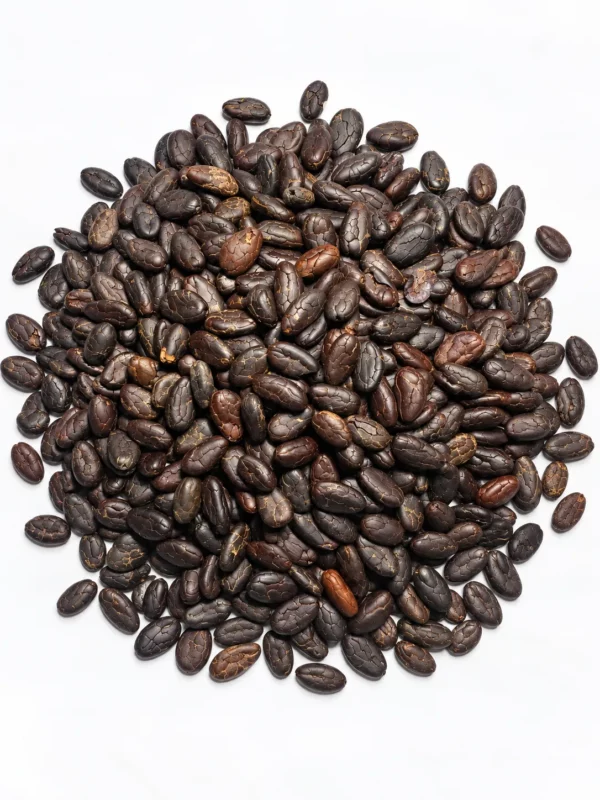 torrified cocoa beans torrified cocoa beans