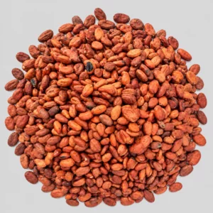 madagascar cocoa beans