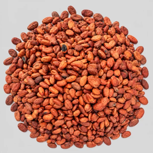 madagascar cocoa beans madagascar cocoa beans