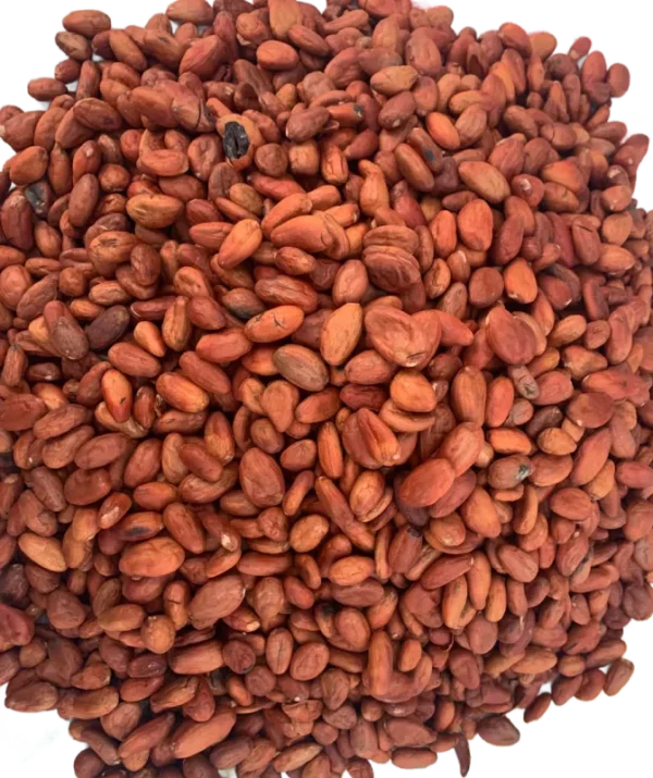 madagascar cocoa beans madagascar cocoa beans