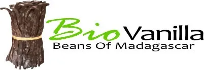 logo ravo