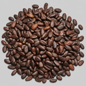 torrified cocoa beans