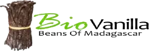 logo bvbm 2026 (1)